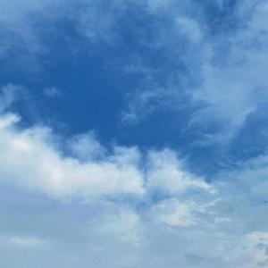 日本妓女日皮短视频
