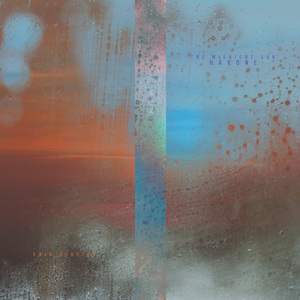 日本妓女日皮短视频
